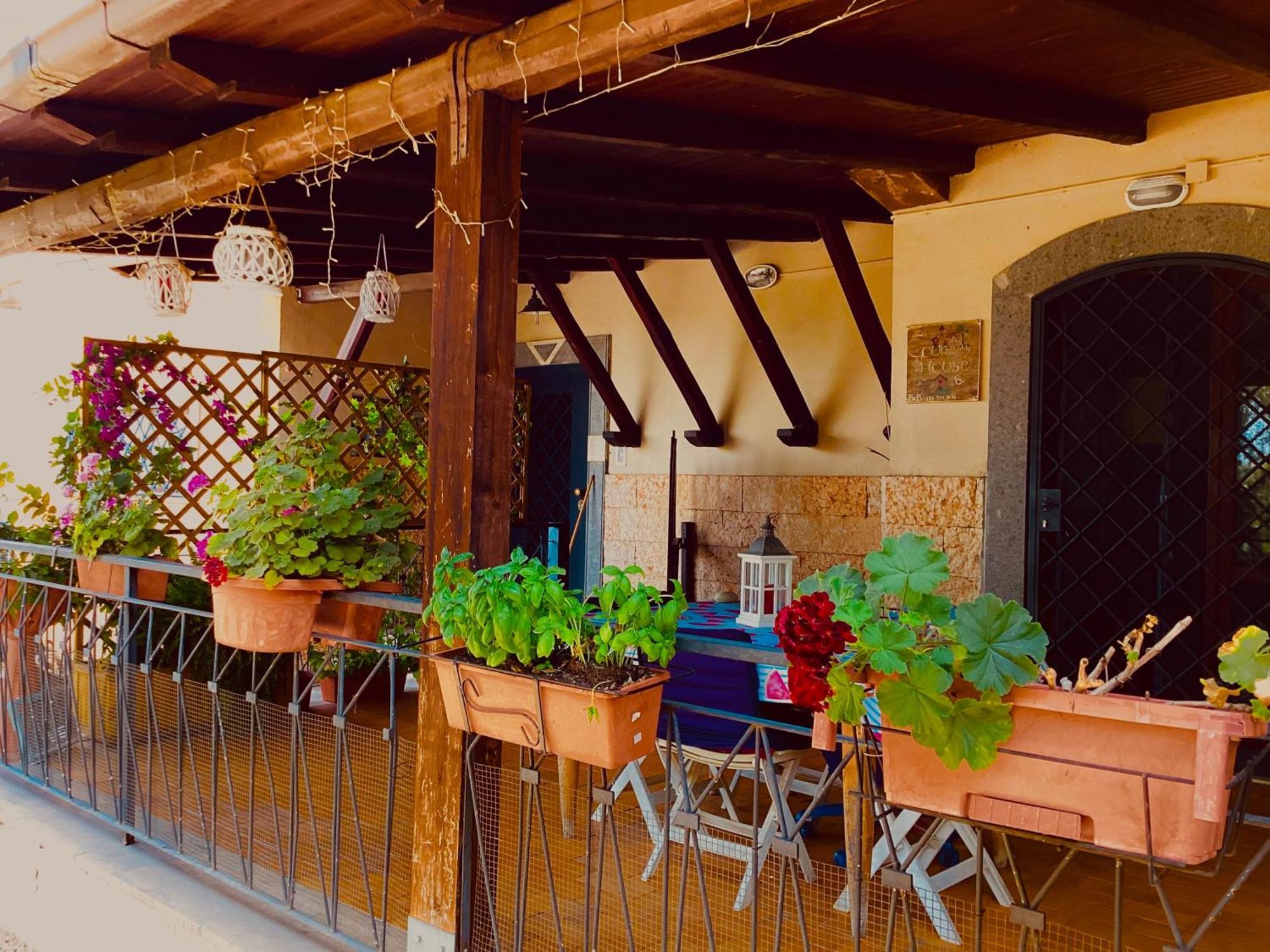 הוילה רומא Locazione Turistica Dream House Marzia מראה חיצוני תמונה